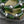 Czech Glass Beads - Drop Beads - Teardrop Beads - Picasso Beads - Faceted Beads - 8x15mm - 4pcs - (5852)