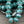 Czech Glass Beads - Rondelle Beads - Czech Rondelles - Fire Polished Beads - 6x8mm -  25pcs (5205)
