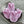 Czech Glass Beads - Flower Beads - Floral Beads - Picasso Beads - 16x11mm - 6pcs - (705)