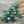 Large Seed Beads - Czech Glass Beads - Seed Beads - Size 2 Beads - 2/0 Beads - 6mm Beads - 6x4mm - 15 grams (4195)