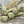 Picasso Beads - Czech Glass Beads - Large Pinch Beads - Vintage Czech Glass - 11mm - 10pcs (1722)