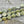 Picasso Beads - Czech Glass Beads - Large Pinch Beads - Vintage Czech Glass - 11mm - 10pcs (1722)