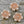 Flower Beads - Czech Glass Beads - Picasso Beads - Wildflower Beads - Wild Rose Beads - 14mm - 6pcs - (5062)