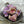 Conch Shell Beads - Czech Glass Beads -  Sea Shell Beads - Picasso Beads - 15x12 - 6pcs (2378)