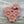 Flower Beads - Czech Glass Beads - Picasso Beads - Wildflower Beads - Czech Glass Flowers - 14mm - 6pcs - (357)