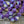 Bicone Beads - Tribal Bicone - Picasso Beads - Purple Beads - Czech Glass Beads - 10pcs - 11mm - (4540)