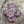 Flower Beads - Czech Glass Beads - Picasso Beads - Wildflower Beads - Czech Glass Flowers - 14mm - 6pcs - (1325)