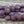 Czech Glass Beads - Ishstar Beads - Goddess Beads - Picasso Beads - Coin Beads - Lentil Beads - 13mm - 6pcs (B314)