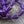 Czech Drop Beads - Czech Glass Beads - Teardrop Beads - Picasso Beads - Purple Beads - 6pcs - 15x8mm - (B639)