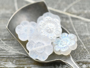 Flower Beads - Czech Glass Beads - Czech Glass Flowers - Picasso Beads - Wildflower Beads - 14mm Flower - 6pcs - (B297)