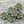 Picasso Beads - Czech Glass Beads - Flower Beads - Floral Beads - Wildflower Beads - Czech Glass Flowers - 14mm - 6pcs - (4585)