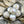 Czech Glass Beads - Flower Beads - Round Beads - Rose Beads - Picasso Beads - New Czech Beads - 10mm - 15pcs - (5466)