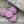Czech Glass Beads - Dahlia Beads - Pink Flower Beads - Dahlia Flower - 14mm - 6pcs (5268)