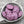 Czech Glass Beads - Dahlia Beads - Pink Flower Beads - Dahlia Flower - 14mm - 6pcs (5268)