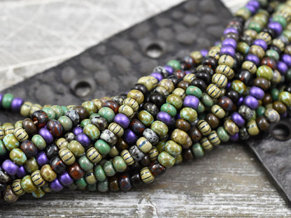 Picasso Seed Beads - Aged Picasso Beads - Czech Glass Beads - Size 5 Seed Beads - 5/0 - 20" Strand - (A178)