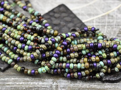 Picasso Seed Beads - Aged Picasso Beads - Czech Glass Beads - Size 4 Seed Beads - 4/0 - 10" Strand - (A102)