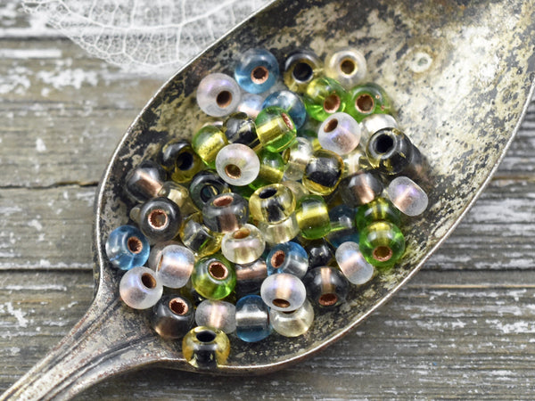 Seed Beads - Size 2 Beads - Czech Glass Beads - 2/0 Beads - 6x4mm - 15 grams (5995)