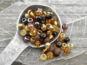 Seed Beads - Size 2 Beads - Czech Glass Beads - 2/0 Beads - 6x4mm - 15 grams (A700)