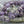 Melon Beads - Czech Glass Beads - Round Beads - Bohemian Beads - Amethyst Luster - Choose from 10mm or 12mm