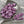 Flower Beads - Czech Glass Beads - Picasso Beads - Czech Flower Beads - Bell Flower - Small Flower Beads - 5x6mm - 30pcs - (1169)