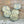 Czech Glass Beads - Dahlia Beads - Flower Beads -  Coin Beads - Dahlia Flower - Picasso Beads -  14mm - 6pcs (1666)