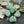 Fall Beads - Czech Glass Beads - Leaf Beads - Picasso Beads - Czech Leaves - 13x11mm - 12pcs - (5560)