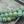 Picasso Beads - Czech Glass Beads - Large Glass Beads - Druk Beads - Chunky Beads - 10pcs - 12mm - (B412)