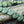 Fall Beads - Czech Glass Beads - Leaf Beads - Picasso Beads - Czech Leaves - 13x11mm - 12pcs - (5560)