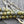 Picasso Beads - Czech Glass Beads - Round Beads - 8mm Beads - Druk Beads - 16pcs - 8mm - (5058)