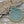 Metal Pendant - Shell Pendant - Sand Dollar Pendant - Starfish Pendant - Bronze Pendants - Beach Pendant - 41x36mm - (B646)