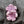 Czech Glass Beads - Flower Beads - Hibiscus Beads - Picasso Beads - Hawaiian Flower Beads - Czech Flowers - 21mm - 2pcs - (2666)