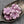 Czech Glass Beads - Flower Beads - Hibiscus Beads - Picasso Beads - Hawaiian Flower Beads - Czech Flowers - 21mm - 2pcs - (2666)