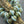 Picasso Beads - Czech Glass Beads - Saturn Beads - Chunky Beads - Large Glass Beads - 10x12mm - 12pcs - (3614)