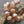 Czech Glass Beads - Saturn Beads - Chunky Beads - Picasso Beads - Large Glass Beads - 10x12mm - 12pcs - (B700)