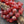 Czech Glass Beads - 10mm Melon Beads - Faceted Melon - Red Beads - Round Beads - 10mm - 12pcs (5115)