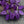 Top Hole Leaf Beads - Czech Glass Beads - Leaf Beads - Czech Leaves - Top Drilled Leaf - Top Hole - 16x12mm - 15pcs - (A513)