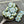 Picasso Beads - Czech Glass Beads - Flower Beads - Daisy Beads - 10mm - 15pcs (4484)