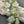 Leaf Beads - Czech Glass Beads - Picasso Beads - Fall Beads - Czech Leaves - 16x14mm - 8pcs - (4747)