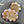Czech Glass Beads - Flower Beads - Focal Beads - Czech Glass Flowers - Daisy Beads - 18mm Flower - 6pcs - (2716)