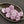 Czech Glass Beads - Flower Beads - Daisy Beads - Pink Flower Bead - 10mm - 15pcs (5740)