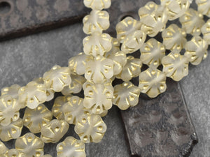Czech Glass Beads - Picasso Beads - Flower Beads - Floral Beads - Matte Beads - 11mm - 10pcs - (3775)