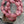 NEW Czech Glass Beads - Pink Beads - Oval Beads - Jewelry Beads - 15x9mm - (3722)