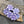 Czech Glass Beads - Flower Beads - Floral Beads - Wildflower Beads - Czech Glass Flowers - 14mm - 12pcs - (5606)