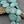 Czech Glass Beads - Sun Beads - Focal Beads - Laser Etched Beads - Coin Beads - 17mm - 8pcs - (796)