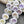 Lotus Flower Beads - Czech Glass Beads - Laser Etched Beads - Laser Tattoo Beads - 16mm - 8pcs - (B38)