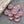 Czech Glass Beads - Pink Flower Beads - Coin Beads - Aster Flower - 12mm - 15pcs (1031)