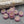 Czech Glass Beads - Pink Flower Beads - Coin Beads - Aster Flower - 12mm - 15pcs (1031)