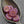 Czech Glass Beads - Pink Flower Beads - Coin Beads - Aster Flower - 12mm - 15pcs (5306)