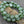 Czech Flower Beads - Czech Glass Beads - Picasso Beads - Coin Beads - Aster Flower - 12mm - 15pcs (456)