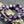 Purple Beads - Czech Glass Beads - Flower Beads - Coin Beads - Aster Flower - 12mm - 15pcs (2223)